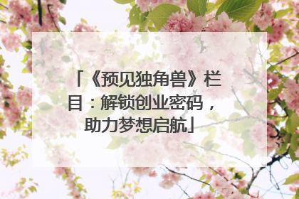 《预见独角兽》栏目：解锁创业密码，助力梦想启航