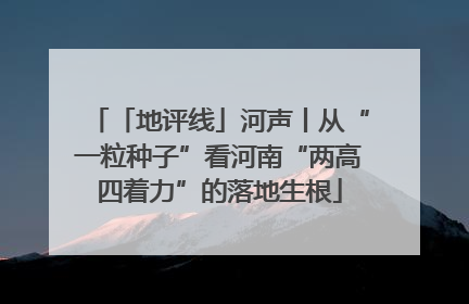 「地评线」河声丨从“一粒种子”看河南“两高四着力”的落地生根