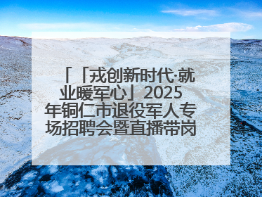 「戎创新时代·就业暖军心」2025年铜仁市退役军人专场招聘会暨直播带岗活动顺利举行