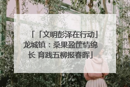 「文明彭泽在行动」龙城镇：桑果盈筐情绵长 育践五柳报春晖