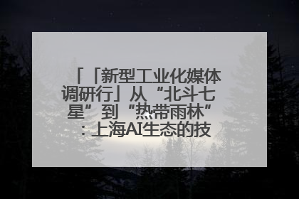 「新型工业化媒体调研行」从“北斗七星”到“热带雨林”：上海AI生态的技术商业共生密码