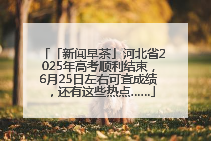「新闻早茶」河北省2025年高考顺利结束，6月25日左右可查成绩，还有这些热点……