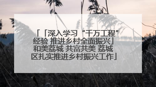 「深入学习“千万工程”经验 推进乡村全面振兴」和美荔城 共富共美 荔城区扎实推进乡村振兴工作