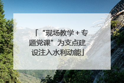 “现场教学＋专题党课”为支点建设注入水利动能