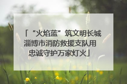 “火焰蓝”筑文明长城 淄博市消防救援支队用忠诚守护万家灯火