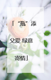 “瓶”添父爱 绿意寄情