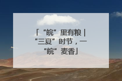 “皖”里有粮｜“三夏”时节，一“皖”麦香
