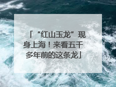 “红山玉龙”现身上海！来看五千多年前的这条龙