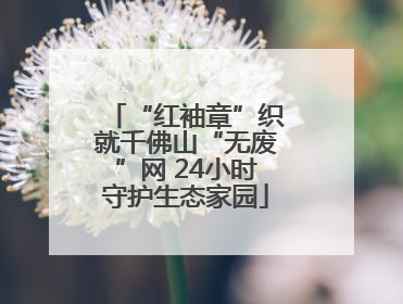 “红袖章”织就千佛山“无废”网 24小时守护生态家园
