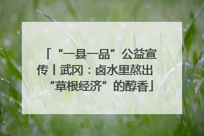 “一县一品”公益宣传丨武冈：卤水里熬出“草根经济”的醇香