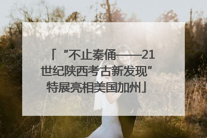 “不止秦俑——21世纪陕西考古新发现”特展亮相美国加州