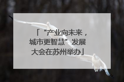 “产业向未来，城市更智慧”发展大会在苏州举办