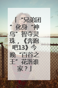 “兄弟团”化身“神鸟”智夺灵珠，《奔跑吧13》今晚“百谷之王”花落谁家？