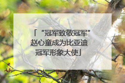 “冠军致敬冠军” 赵心童成为比亚迪冠军形象大使