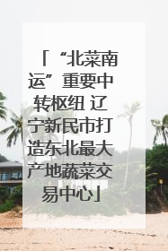 “北菜南运”重要中转枢纽 辽宁新民市打造东北最大产地蔬菜交易中心