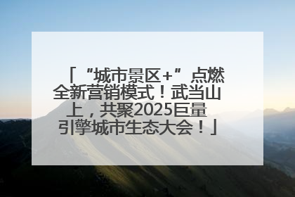 “城市景区+”点燃全新营销模式！武当山上，共聚2025巨量引擎城市生态大会！