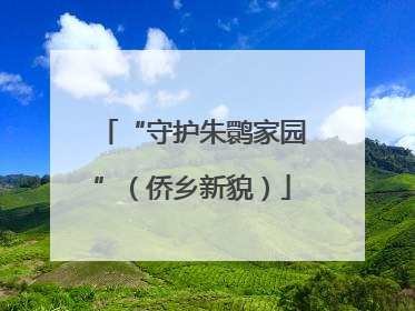 “守护朱鹮家园”（侨乡新貌）