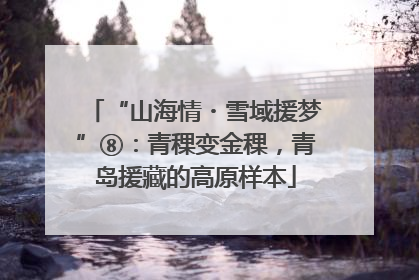 “山海情・雪域援梦”⑧：青稞变金稞，青岛援藏的高原样本