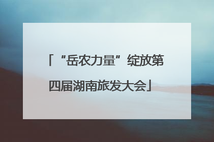 “岳农力量”绽放第四届湖南旅发大会