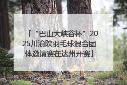 “巴山大峡谷杯”2025川渝陕羽毛球混合团体邀请赛在达州开赛