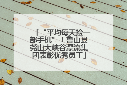 “平均每天捡一部手机”！鲁山县尧山大峡谷漂流集团表彰优秀员工