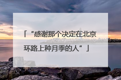 “感谢那个决定在北京环路上种月季的人”