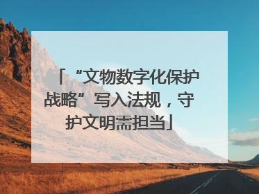 “文物数字化保护战略”写入法规，守护文明需担当