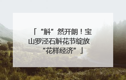 “斛”然开朗！宝山罗泾石斛花节绽放“花样经济”