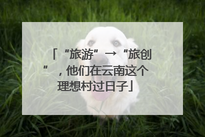 “旅游”→“旅创”，他们在云南这个理想村过日子