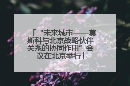 “未来城市——莫斯科与北京战略伙伴关系的协同作用”会议在北京举行
