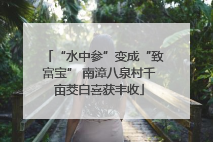 “水中参”变成“致富宝” 南漳八泉村千亩茭白喜获丰收