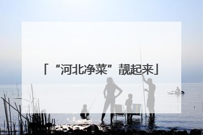 “河北净菜”靓起来