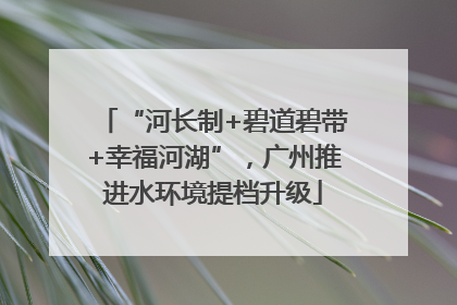 “河长制+碧道碧带+幸福河湖”，广州推进水环境提档升级