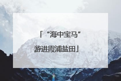 “海中宝马”游进霞浦盐田
