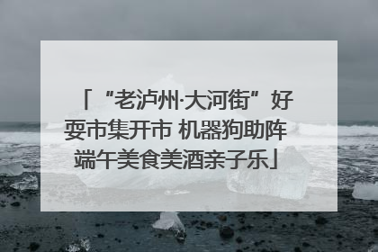 “老泸州·大河街”好耍市集开市 机器狗助阵端午美食美酒亲子乐