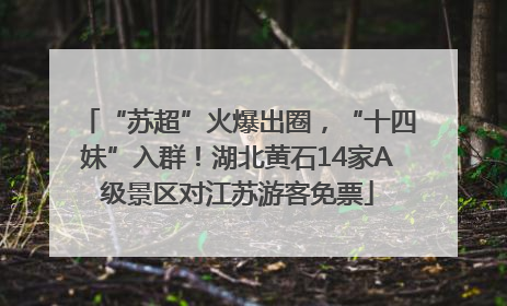 “苏超”火爆出圈，“十四妹”入群！湖北黄石14家A级景区对江苏游客免票