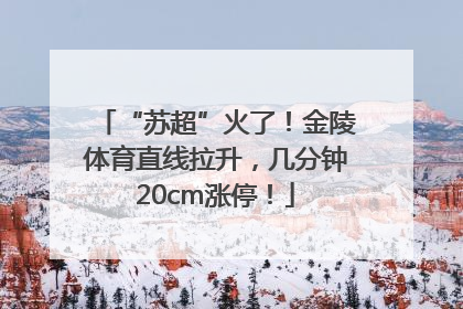 “苏超”火了！金陵体育直线拉升，几分钟20cm涨停！
