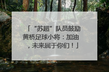 “苏超”队员鼓励黄桥足球小将：加油，未来属于你们！