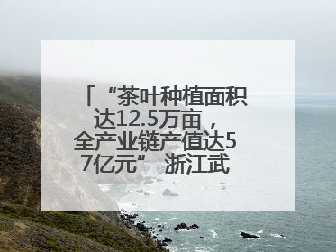 “茶叶种植面积达12.5万亩，全产业链产值达57亿元” 浙江武义茶产业全链发展“加速度”