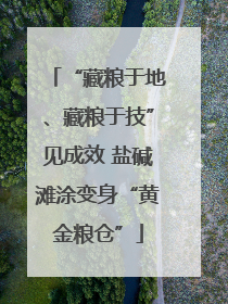 “藏粮于地、藏粮于技”见成效 盐碱滩涂变身“黄金粮仓”