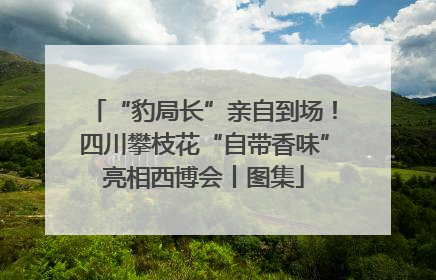 “豹局长”亲自到场！四川攀枝花“自带香味”亮相西博会丨图集