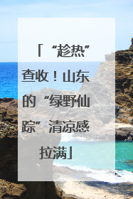 “趁热”查收！山东的“绿野仙踪”清凉感拉满
