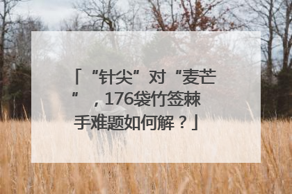 “针尖”对“麦芒”，176袋竹签棘手难题如何解？