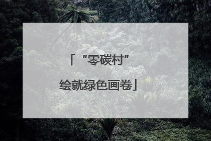 “零碳村” 绘就绿色画卷