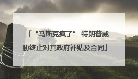 “马斯克疯了” 特朗普威胁终止对其政府补贴及合同