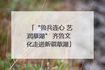 “鲁兵连心 艺润草湖” 齐鲁文化走进新疆草湖