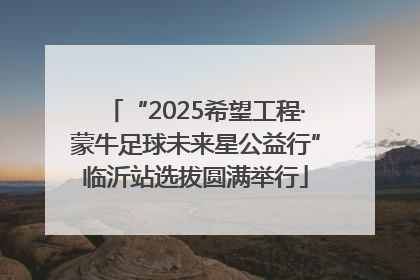 “2025希望工程·蒙牛足球未来星公益行”临沂站选拔圆满举行