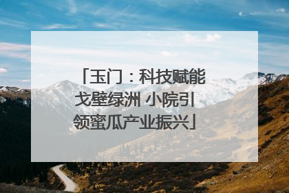 玉门：科技赋能戈壁绿洲 小院引领蜜瓜产业振兴