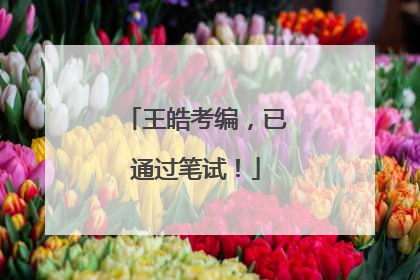 王皓考编，已通过笔试！
