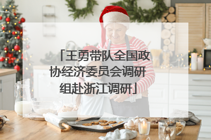 王勇带队全国政协经济委员会调研组赴浙江调研